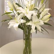 Lilies of Christmas
