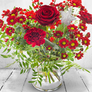 Season&#39;s Greetings